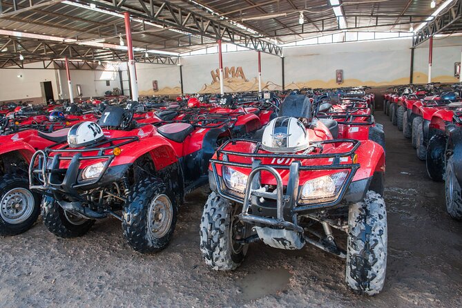 ATV Quad Safari With Camel Ride, Dinner & Show - Sharm El Sheikh - Frequently Asked Questions