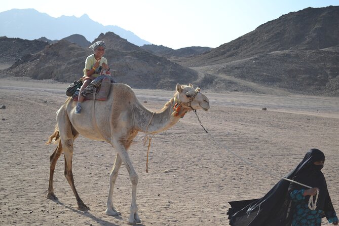 ATV QUAD, Super Moto Marine Buggy Car, Snorkeling, Snacks - Marsa Alam - Good To Know