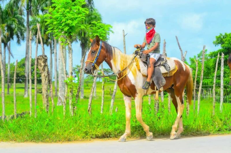 ATV Ride Cenote, Chocolate, Coffee Tasting & Horse back ride - FAQ