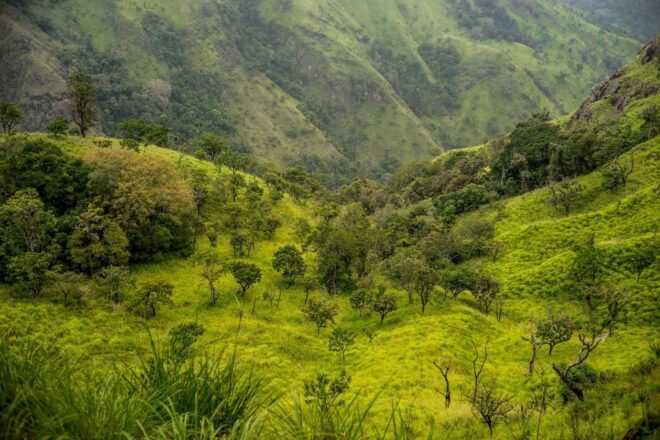 ATV Ride in Ella - Passing Picture-Perfect Viewpoints