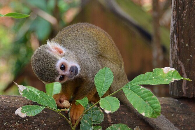 ATV Ride Plus Monkeys in puerto plata - Who’s This Tour Best For?