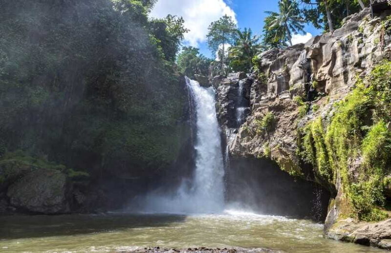 ATV Ride & Scenic Tegenungan Waterfall Adventure - Who Should Consider This Tour?