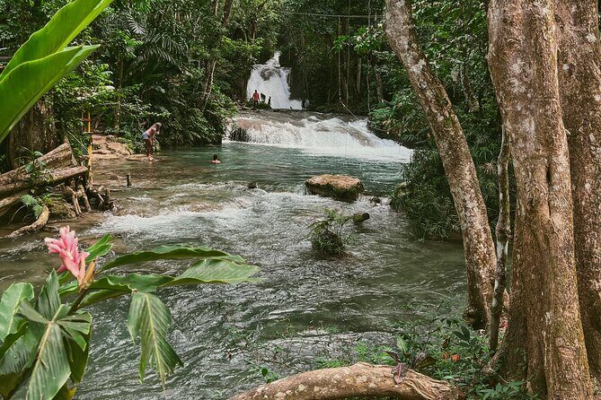 ATV Ride, Spanish Bridge, Blue Hole & Secret Falls-Private Tour - Who Will Love This Tour?