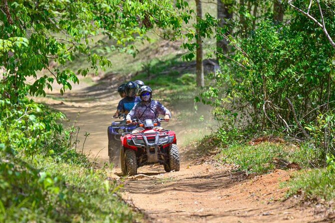 ATV River, Beach, Jungle Adventure and Crocodiles Hotspot From San Jose - Unforgettable Trip Experiences Shared