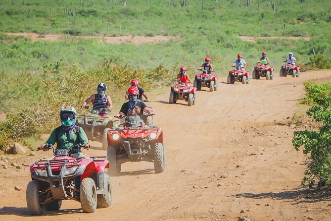 ATV Single in Cabo San Lucas /2 Hours/ Migriño Beach and Desert - Viator Traveler Reviews