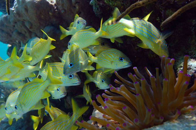 ATV Single & Zip Line - Common Questions