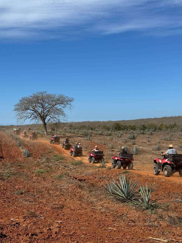 ATV & TEMAZCAL COMBO TOUR - Authentic Traveler Insights