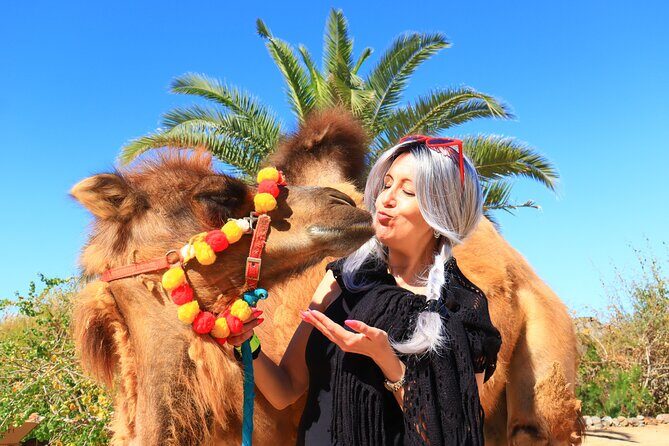 ATV Tour, Camel Ride, Tequila Tasting and Mexican Buffet Lunch - FAQs