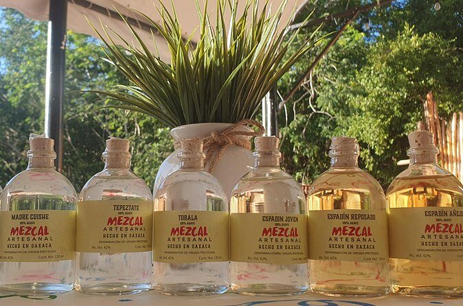 Atv Tour in Cozumel 4 Hours Adventure Relax And Tasting - Who Should Consider This Tour?