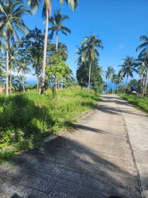 ATV Tour in Koh Phangan - Safety and Guidance