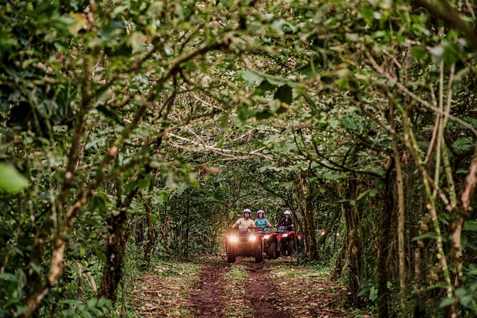 ATV Tour in La Fortuna Costa Rica - Group Size and Accessibility