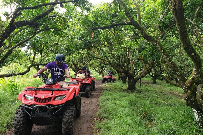 ATV Tour of St Kitts - Safety Concerns and Feedback