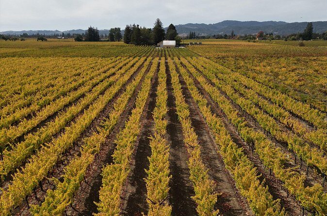 ATV Vineyard Tour and Wine Tasting - Practical Tips and Considerations