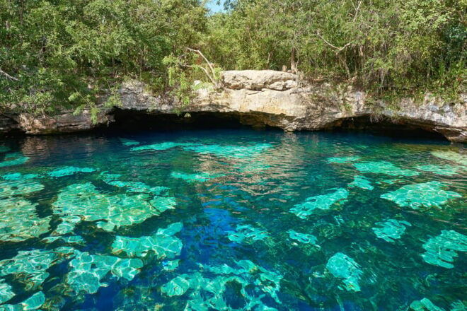 Atv+ Zipline & Cenote (Transportation Included) - Inclusions