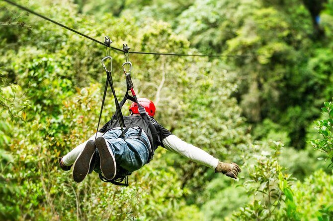 Atv , ziplines and cenote jungle adventure - Cooling Off in a Cenote