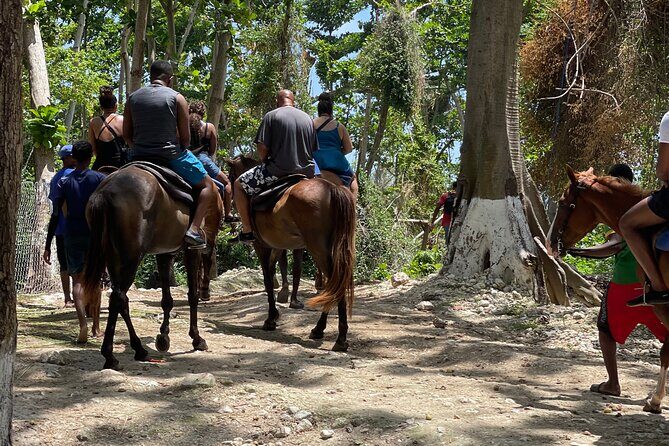 ATVs/zipline/Hb riding and catamaran all day activities. - Who Is This Tour Best For?  