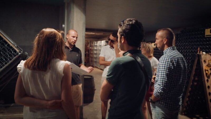 Au départ de REIMS : Ebike tour with a local guide ! - A Deep Dive into the Ebike Experience