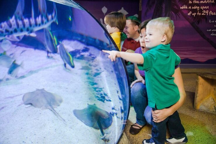 Auburn Hills: Legoland and Sea Life Aquarium Combo Ticket - Experience Highlights