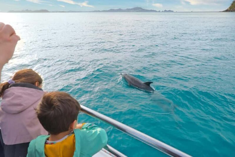 Auckland: 2-Day Bay of Islands Small Group Tour with Cruise - Return to Auckland