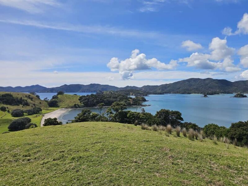 Auckland: 2-Day Bay of Islands Small Group Tour with Cruise - Transportation