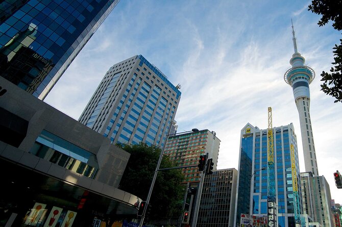 Auckland Airport Transfers: Auckland Airport AKL to Auckland in Business Car - The Sum Up