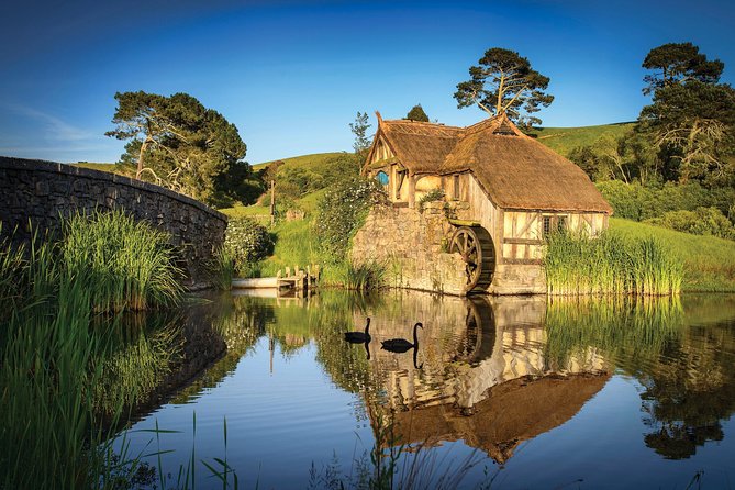 Auckland Airport Transfers - Overview of Auckland Airport Transfers
