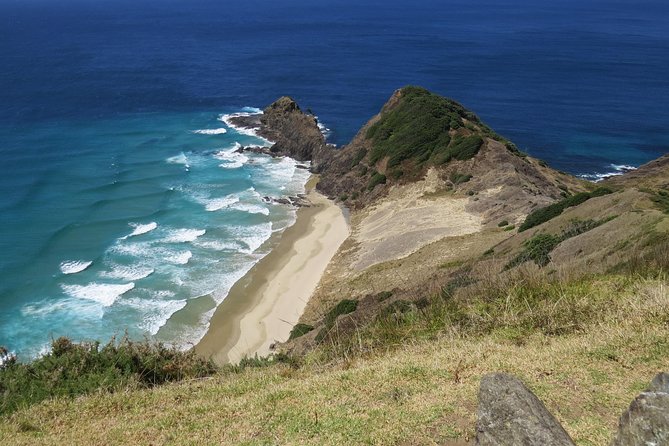Auckland Airport Transfers - Expectations and Services