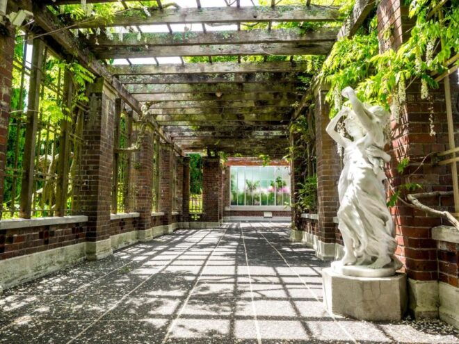 Auckland All-Day Trip - Indulging in a Wine Tour and Lunch