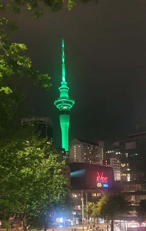 Auckland: Auckland City Tour 4 hours private - Good To Know