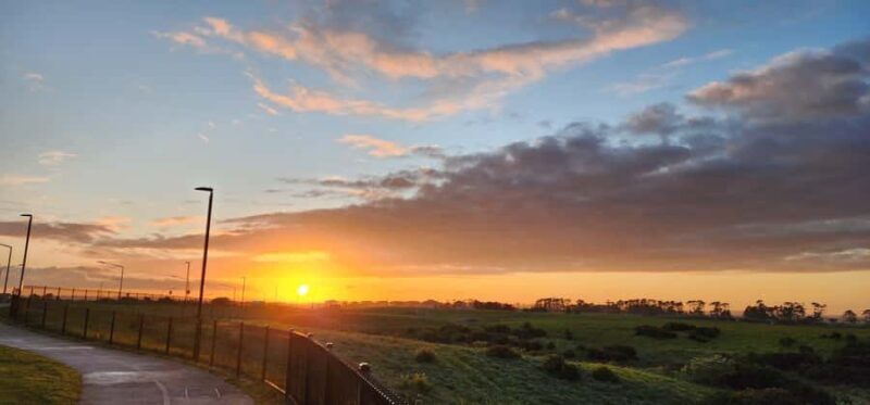 Auckland: Auckland City Tour 4 hours private - The Sum Up