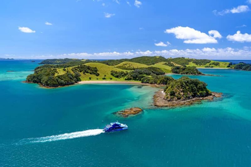 Auckland: Bay of Islands Day Tour with Dolphin Cruise - The Sum Up: Is It Worth It?  