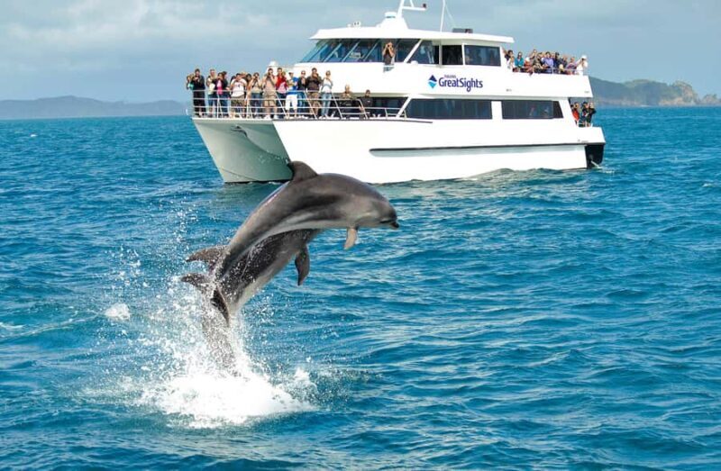 Auckland: Bay of Islands Day Tour with Dolphin Cruise - FAQ