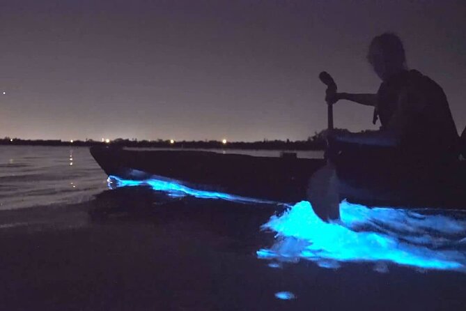 Auckland Bioluminescence Kayak Tour - Additional Tour Information