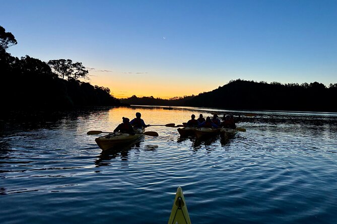Auckland Bioluminescence Kayak Tour - Tour Location and Address