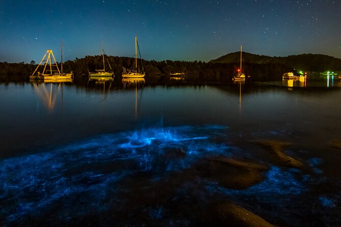 Auckland Bioluminescence Kayak Tour - Confirmation and Accessibility