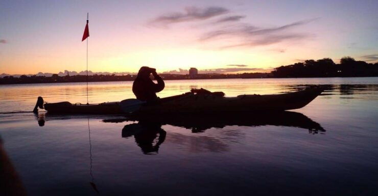 Auckland: Bioluminescence Kayak Tour by Night With Tuition - Experience the Magic of Bioluminescence