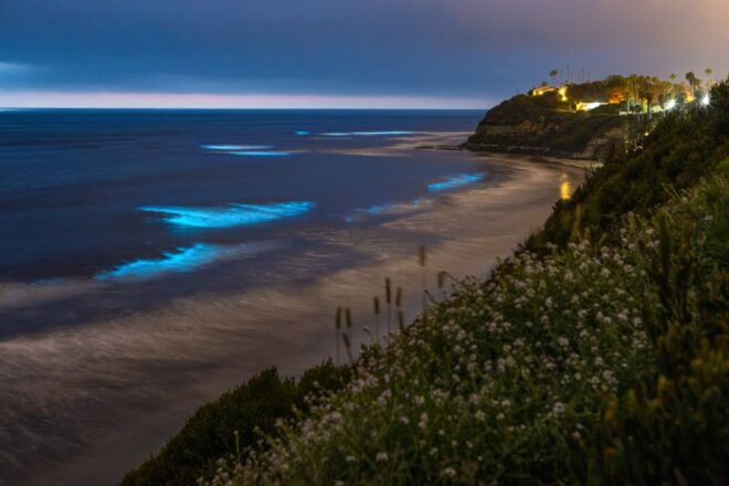 Auckland: Bioluminescence Kayak Tour by Night With Tuition - Guided Kayaking Lesson
