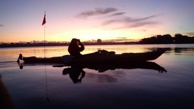 Auckland: Bioluminescence Kayak Tour by Night With Tuition - Exploring the Okura River