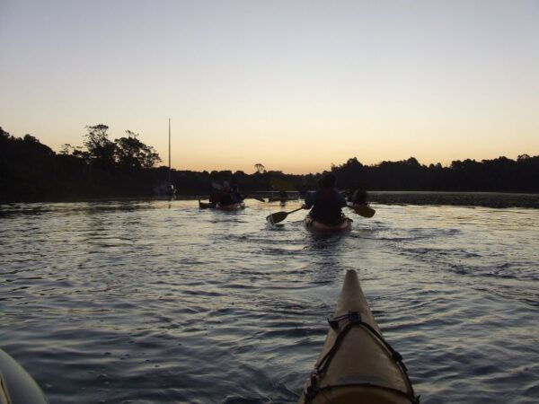 Auckland: Bioluminescence Kayak Tour by Night With Tuition - Customer Reviews and Testimonials