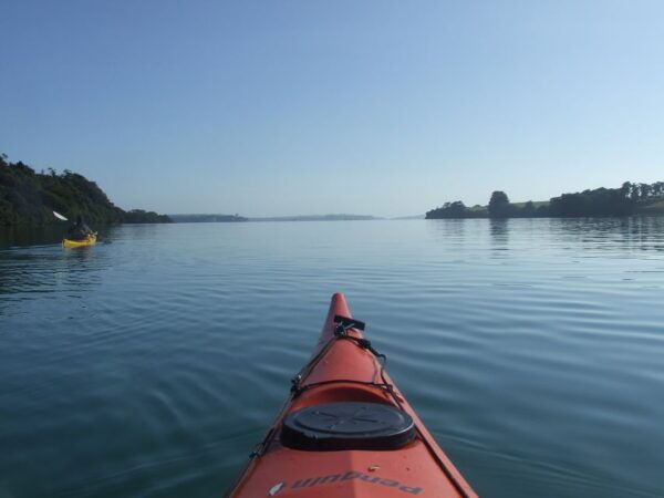 Auckland: Bioluminescence Kayak Tour by Night With Tuition - The Sum Up