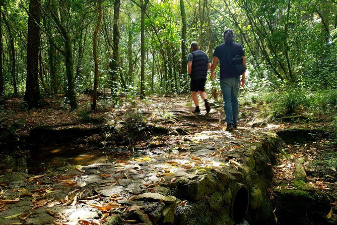 Auckland Bush, Beach and Bites Trail - Good To Know