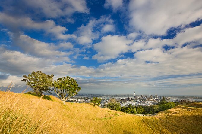 Auckland City and West Coast Full Day Tour - Additional Information