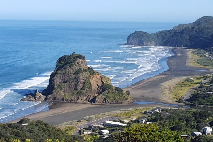 Auckland City, Beaches & Rainforest Premium Small Group Tour - Tour Details