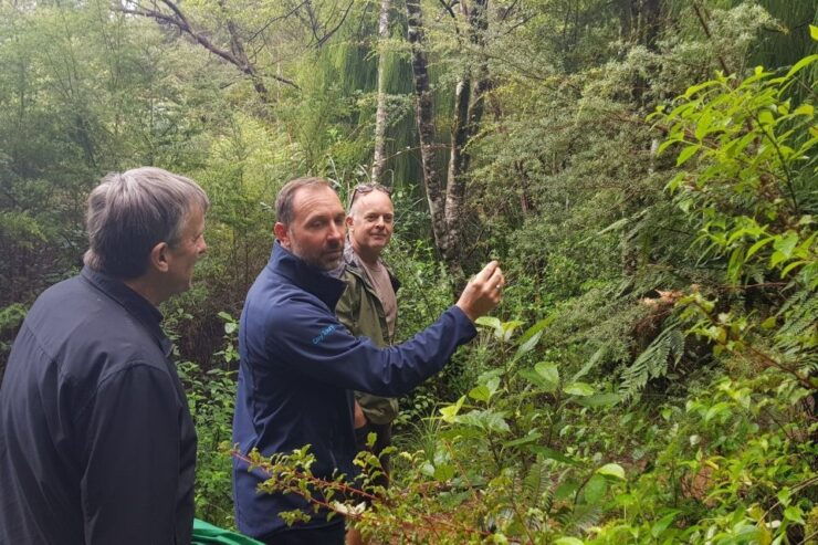 Auckland City, Beaches & Rainforest Premium Small Group Tour - Tour Highlights