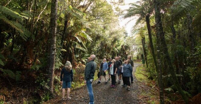 Auckland City, Beaches & Rainforest Premium Small Group Tour - North Shore and Mt Victoria