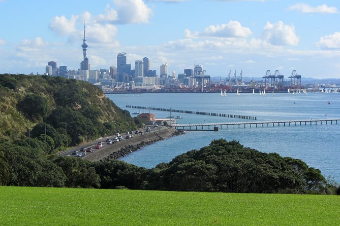 Auckland City Discovery Experience - Private Tour From Auckland - Safety Guidelines for Participants