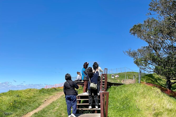 Auckland City Express - Reviews and Ratings