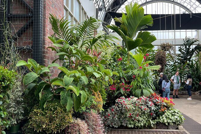 AUCKLAND CITY Full Day Tour with War Memorial Museum and Mt Eden - Frequently Asked Questions (FAQs)