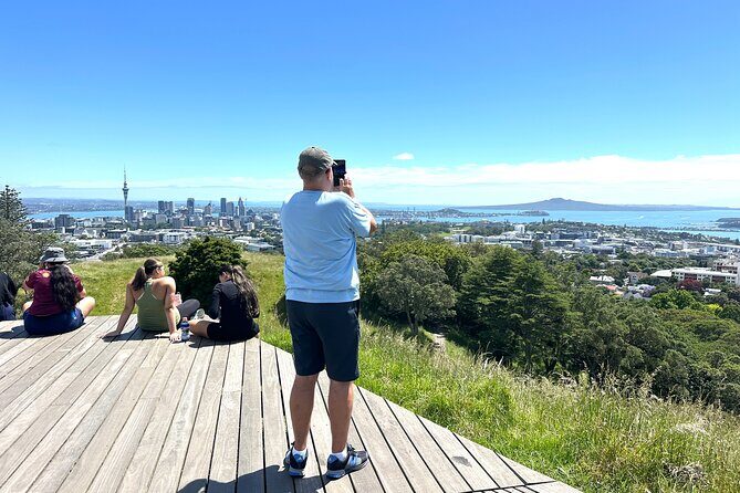 Auckland City Half Day Small Group Tour - Best Spots - The Transport and Guide Experience