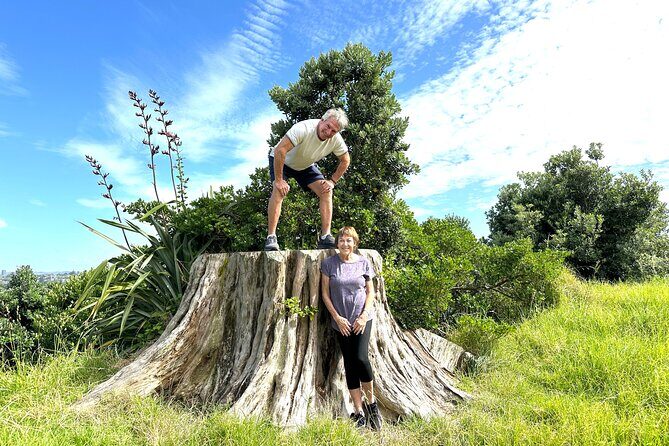 Auckland City Half Day Small Group Tour - Best Spots - Who Will Love This Tour?